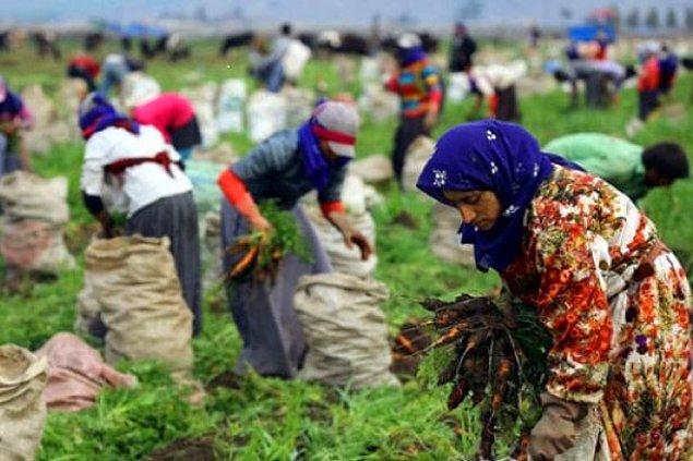 Tarım dışı sektörlerde çalışan sayısı 675 bin kişi arttı