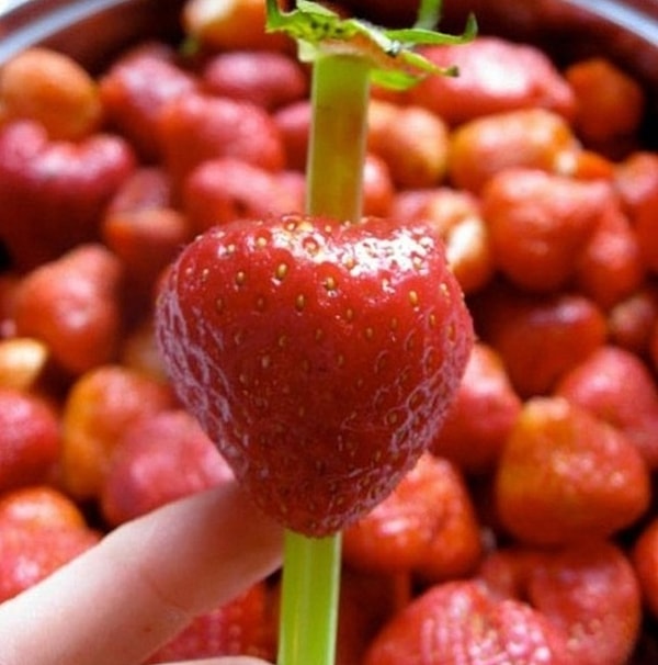 14. Трубочка поможет вам почистить клубнику.