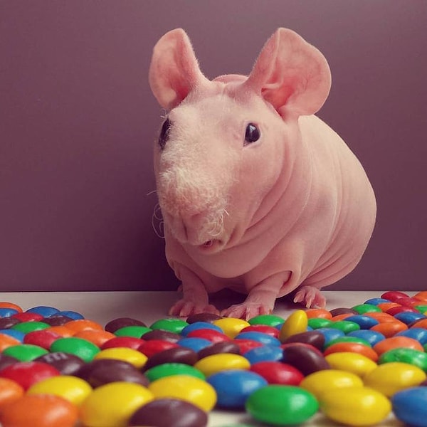 3. Так много M&Ms и так мало времени 😰