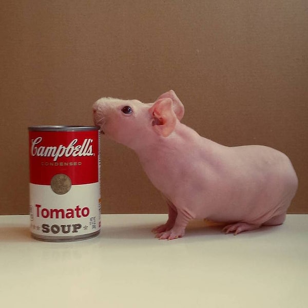 7. Можно использовать открывашку, а можно...зубы