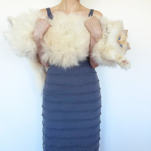 3. А зовут этот комок шерсти Скай!