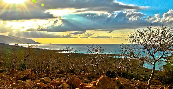 5. Добавим также, что остров находится в списке всемирного наследия ЮНЕСКО.