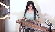 Pişman Olmayacaksınız: Red Hot'ın Californication Parçasını Bir de Gayageum ile Dinleyin!