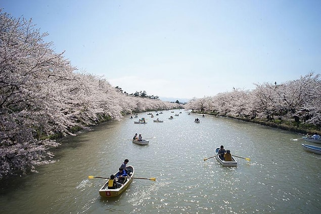 5. Japonya Kiraz Çiçeği Festivali