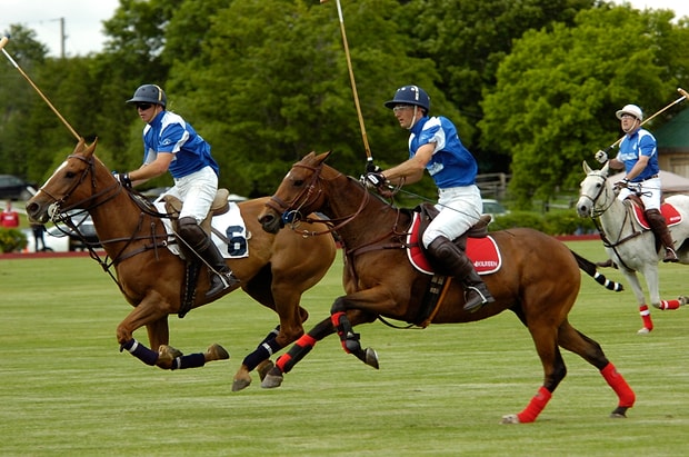 Polo