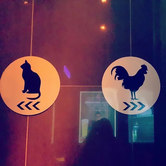 В мире животных.