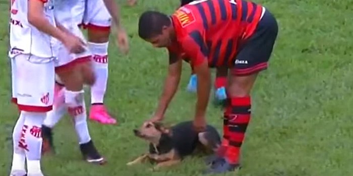 Maç Esnasında Sahaya Girerek Duran Topun Başına Geçen Ronaldo Köpek