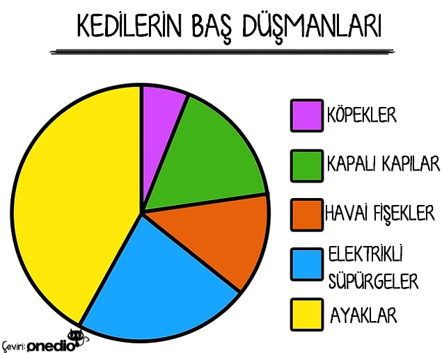 6.