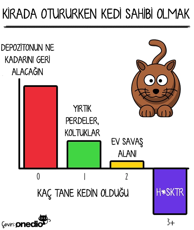 11.