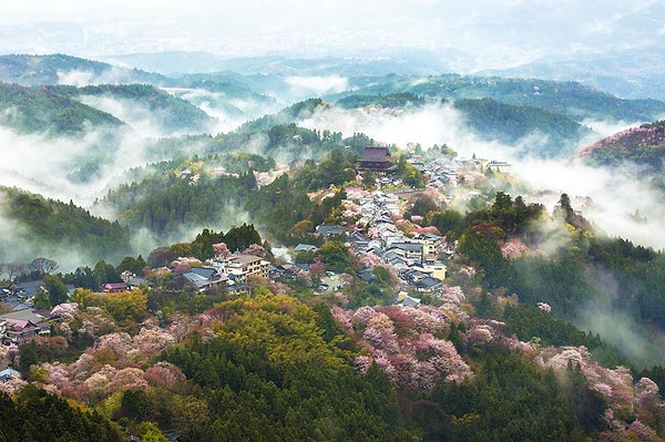 3. Туманная земля