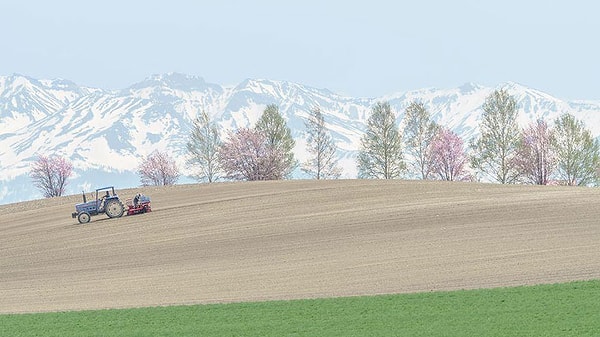 10. Цвет пашни