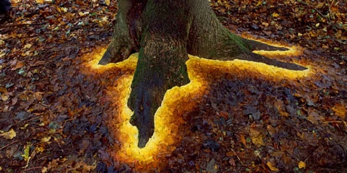 Doğaya Sanatçı Eli Değdi: İngiliz Sanatçı Andy Goldsworthy'den 16 Büyüleyici Çalışma