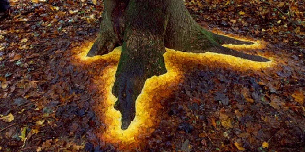 Doğaya Sanatçı Eli Değdi: İngiliz Sanatçı Andy Goldsworthy'den 16 Büyüleyici Çalışma