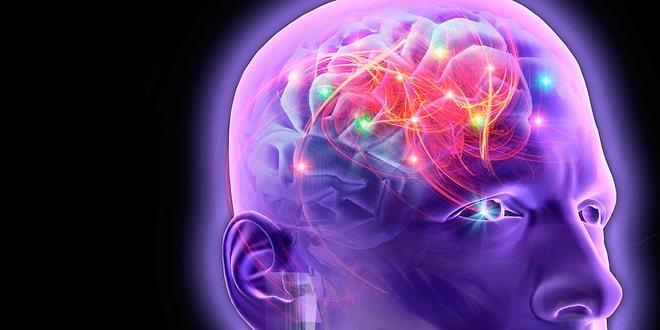 11 Maddede Epilepsi Hastalığına Genel Bakış ve Nöbet Esnasında Yapılması Gerekenler