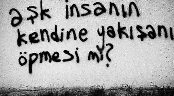 s-438060e47b0883d23a79c47515611fc6cce70213.jpg