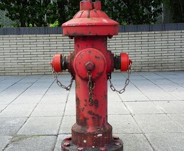 24. Patenti bir yangın sırasında yok olduğu için, kimse yangın söndürme musluğunu kimin icat ettiğini bilmiyor.