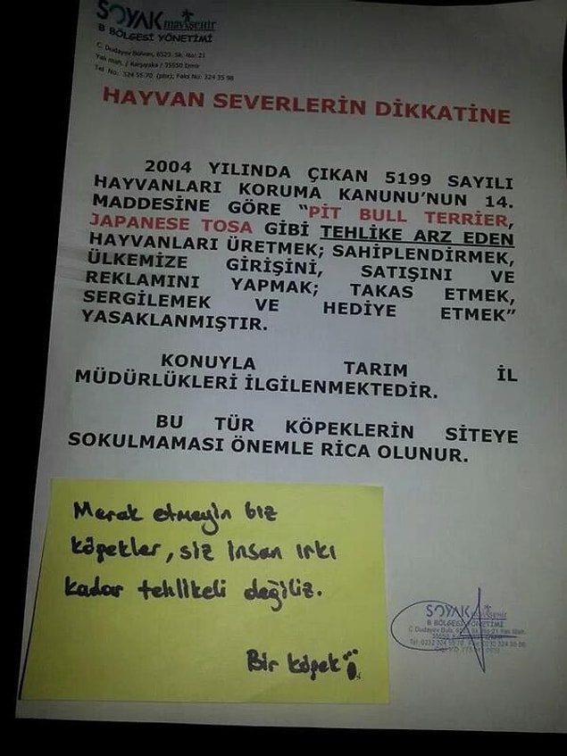 12. Köpeklerden cevap