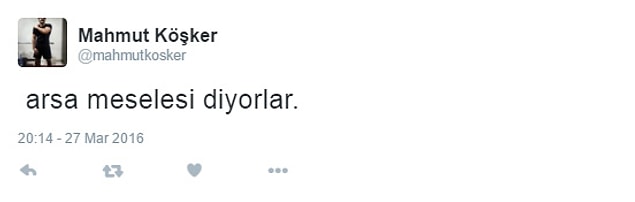 12. Arsa