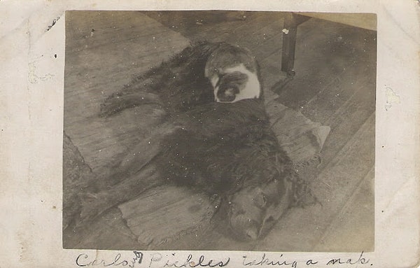 13. Доверие – вот что важно для них обоих!