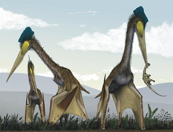 7. Tarihteki en büyük uçan canlı olduğuna inanılan Quetzalcoatlus'un kanat genişliğinin 10 metre olduğu düşünülüyor.
