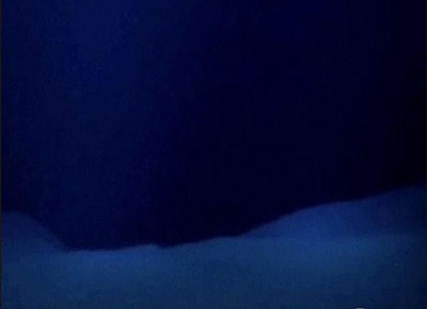 27. Bir düzineden fazla insan ayın yüzeyine çıktı; ancak Dünya üzerinde bilinen en derin nokta olan Mariana Çukuru'ndaki Challenger Deep noktasına yalnızca 3 kişi ayak bastı.