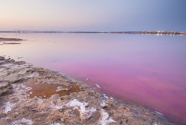 1. İspanya'daki Torrevieja şehri yakınlarında bulunan Las Salinas de Torrevieja ismindeki iki göl, pembe renkleriyle dikkat çekiyor. Suya rengini veren şeyin, belli koşullar altında kırmızı pigment salgılayan algler olduğu düşünülüyor.
