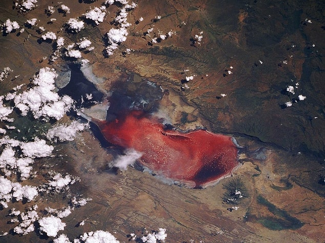 5. Tanzanya'da bulunan Natron Gölü, kırmızı rengiyle biliniyor. Rengini algler ve tuzu seven organizmalardan alan göl, her yıl Haziran'dan Kasım'a kadar flamingoların akınına uğruyor.