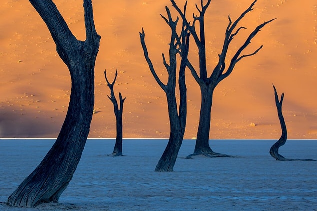 29. Namibya'daki Deadvlei Ulusal Parkı, dünyanın en yüksek kum tepelerinden bazılarına ve 900 yaşının üzerindeki ağaçlara ev sahipliği yapıyor.