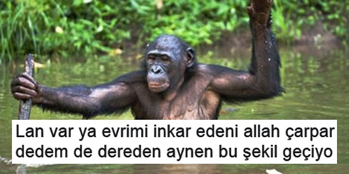 Evrim Teorisini Mizahşör Üslubuyla Kanıtlayan 10 Kişi