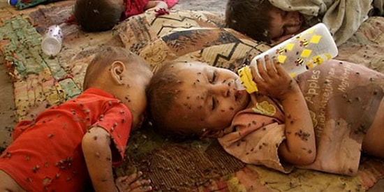 Yüreğimizi Yakan ve Dünyanın Çivisinin Çıktığını Kanıtlayan 17 Fotoğraf