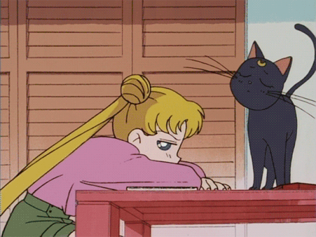 s-c51560b0ea613b1d6f853037d038b8db3d65463e.gif