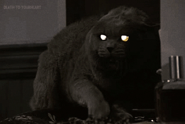 s-e6d7c1b0b970da44ea4fb29a516fe78e1fcbaa90.gif