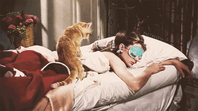 s-f87299798dc9cc0fd5be5c573919a3c1103c2e9f.gif