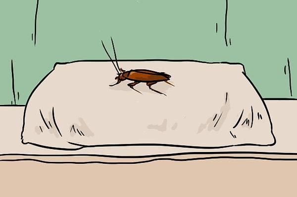 4. Yoğun ve yorucu bir günün ardından yatağına yatacakken bir de baktın ki yastığının üstünde kocaman bir böcek var! Belki dün gece de orada seninle birlikteydi?