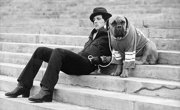 Sylvester Stallone bu süreçte sadık dostu Butkus’ı bulur ve onu tekrar satın alır. Filmdeki köpek de kendi köpeği Butkus’tur.