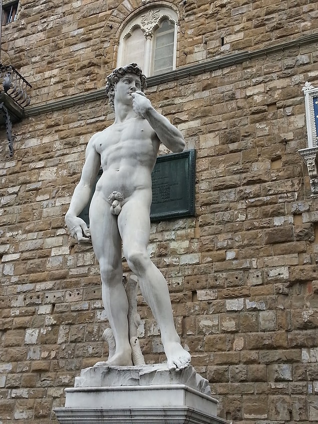 8. En ünlü çıplak adam: Michelangelo'nun Davud heykeli