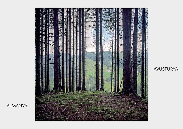 15.