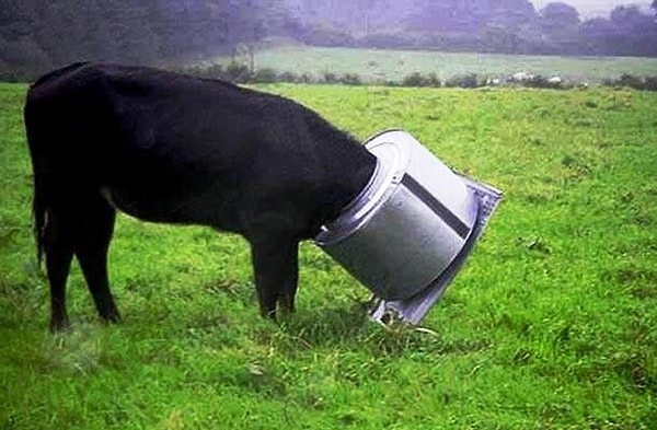 14. Так много вопросов...