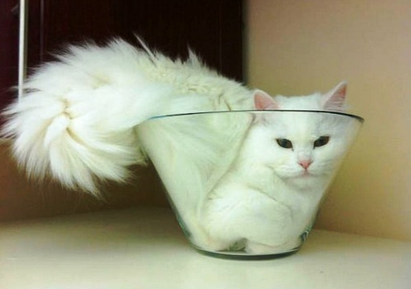 16. Комфортненько