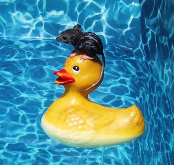 18. Помогите!