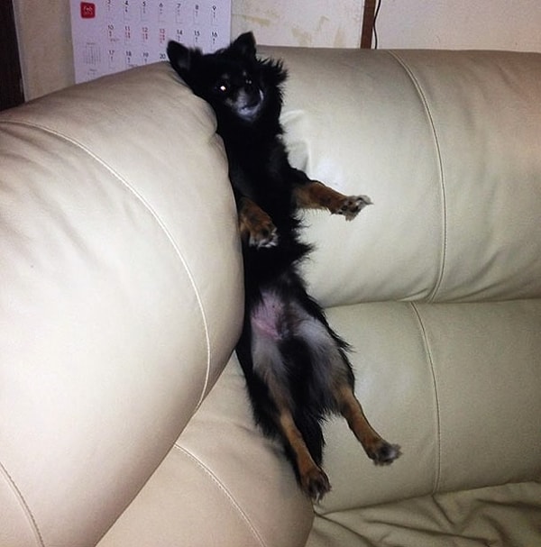 23. Это была очень большая ошибка