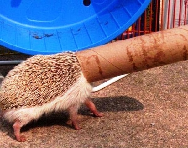 25. Я вижу свет в конце туннеля