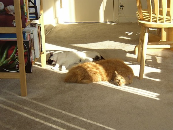 2. И даже загорают там, где хочется ИМ