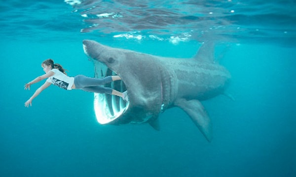 9. Полезно, если надо спасаться от акул