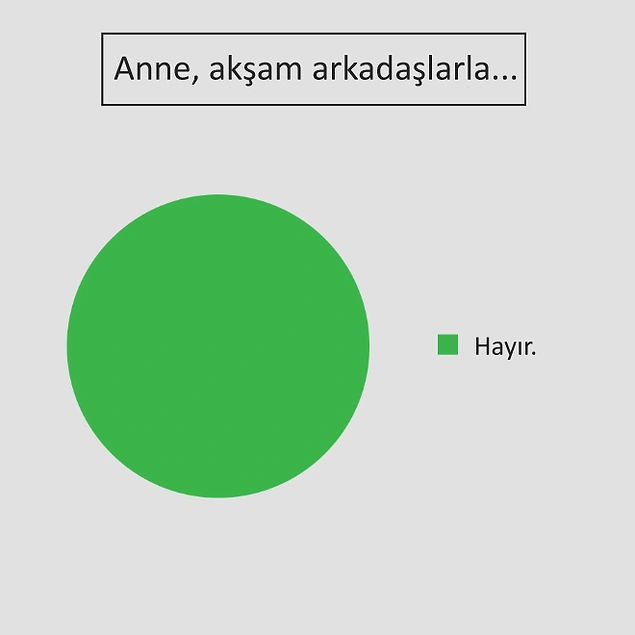 Hayatın İçinden Gerçekleri Tıs Tıs Güldürecek Şekilde Yansıtan 14 Dairesel Grafik
