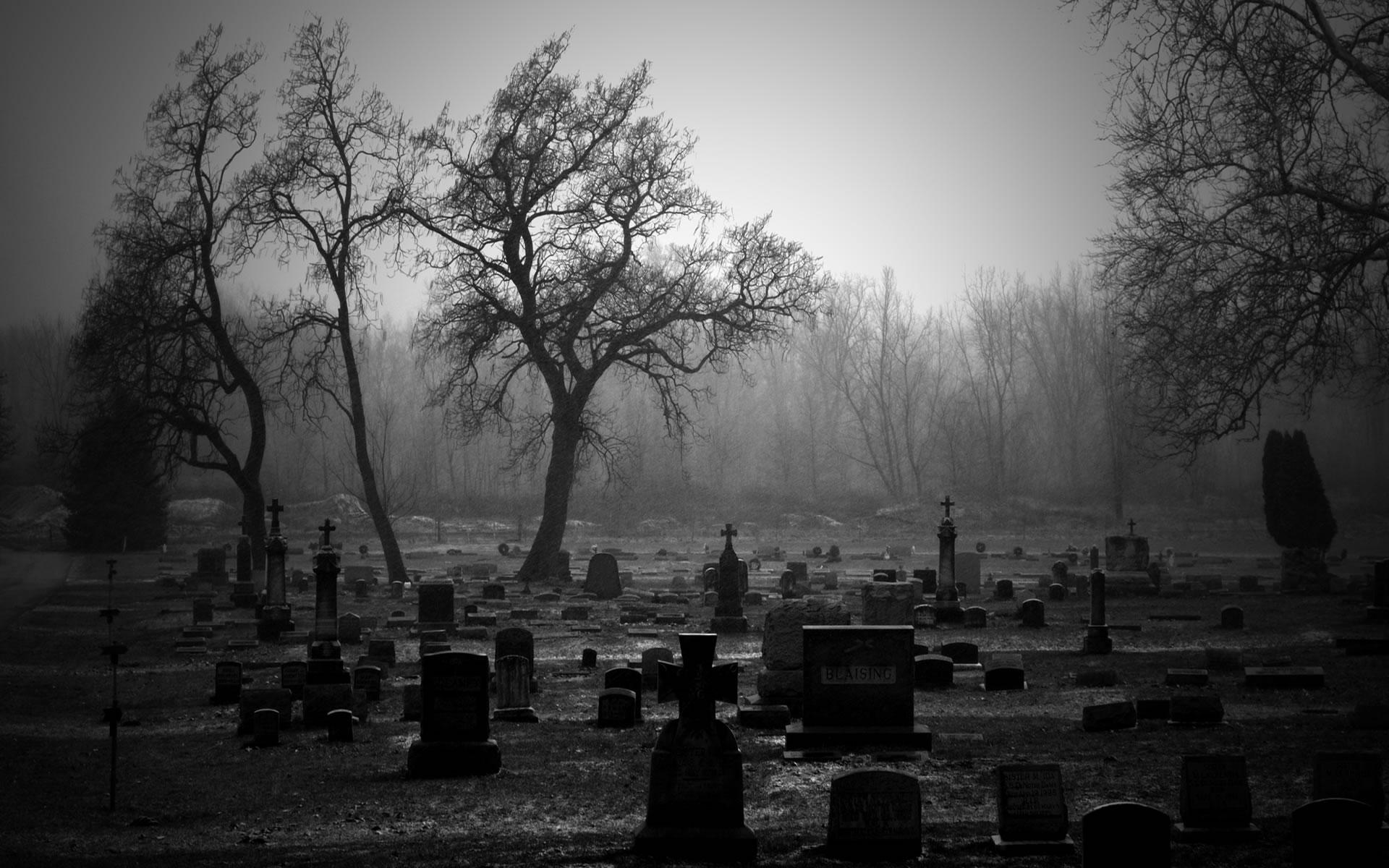 Зомби на кладбище загрузить