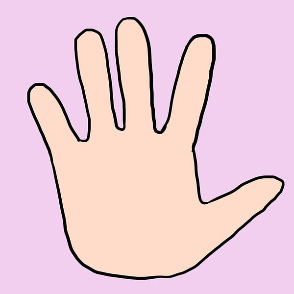 Земной тип руки - консерватор