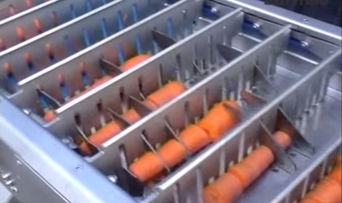 İzlemesi Aşırı Zevkli Olan Havuç Kesim Süreci