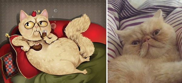 4. Мистер Падди. Уточненен и обожает поесть