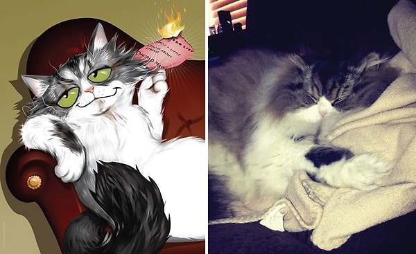 13. Оливер, самый ленивый кот на планете